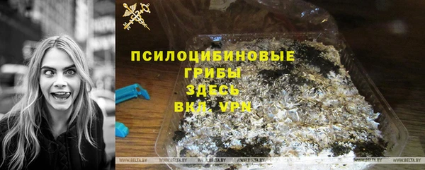 spice Балабаново