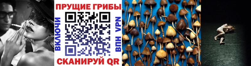 Псилоцибиновые грибы прущие грибы Туапсе