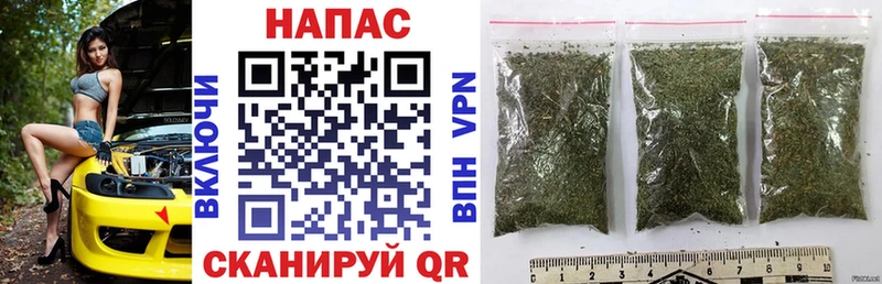 Конопля индика Туапсе